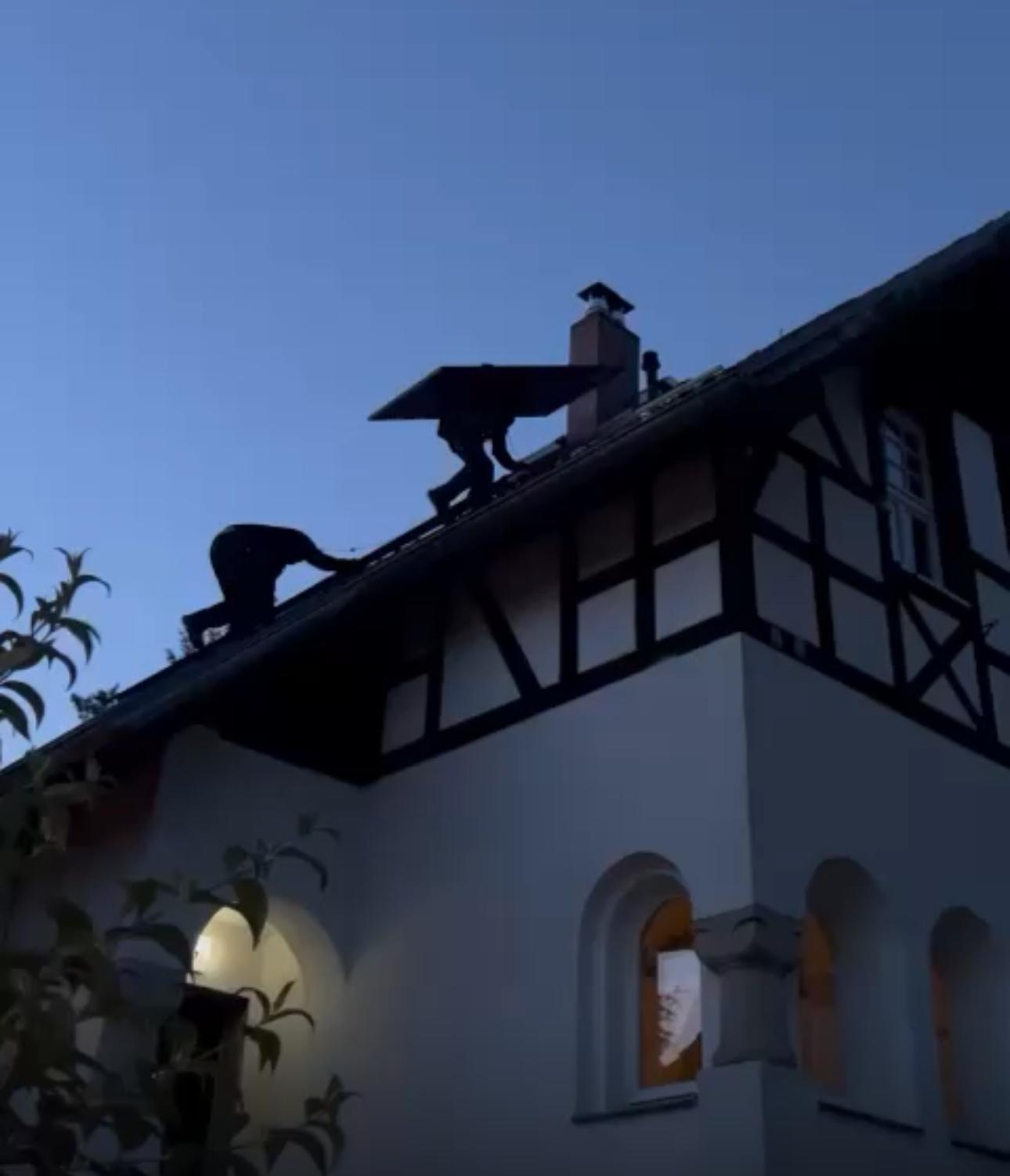 WhatsApp Bild 2024-08-23 um 12.35.26_e34d3fc7